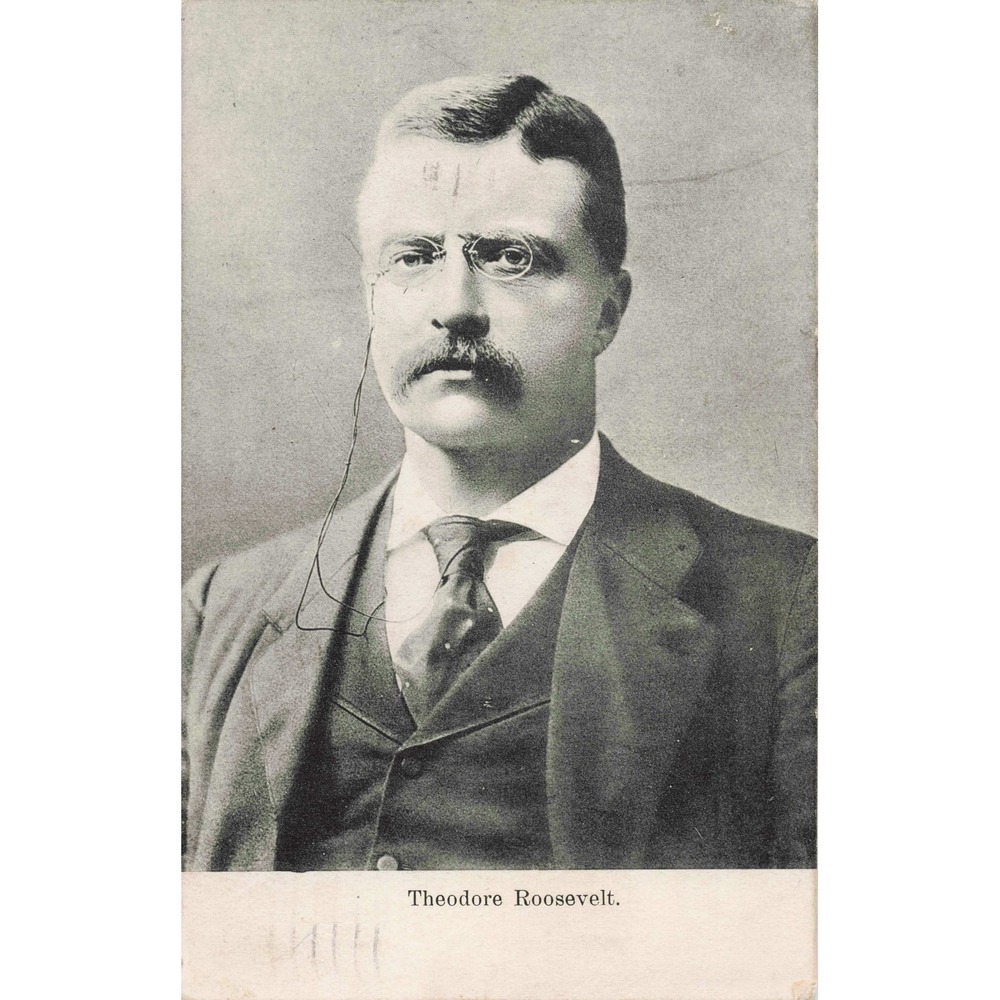 Theodore Roosevelt Postcard 1908 Allentown PA US President Portrait Divided Back